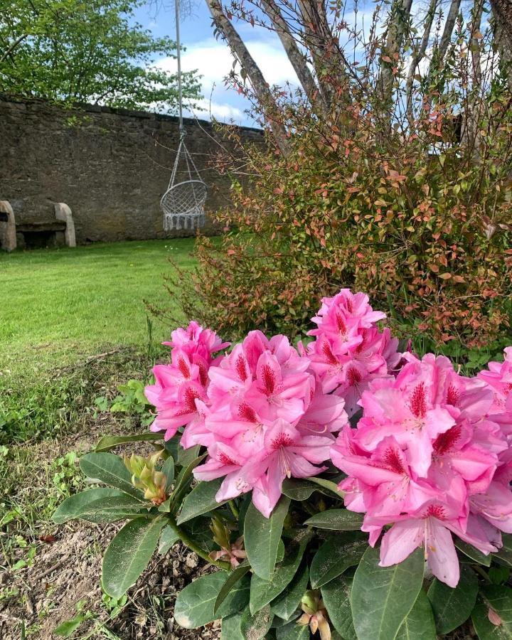 Le Chateau De Failloux Bed & Breakfast 3*